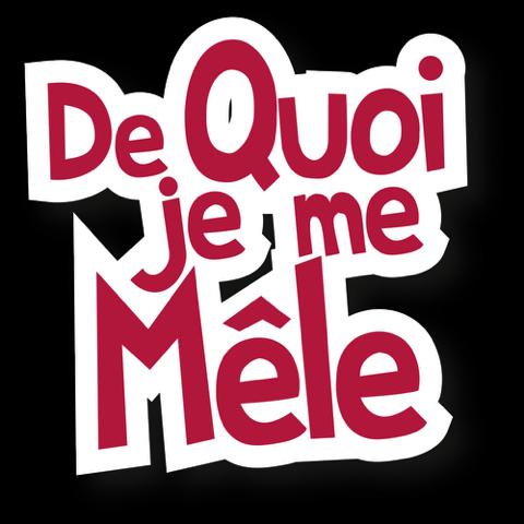 De quoi je me mêle